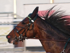 Random Shot 160114-7